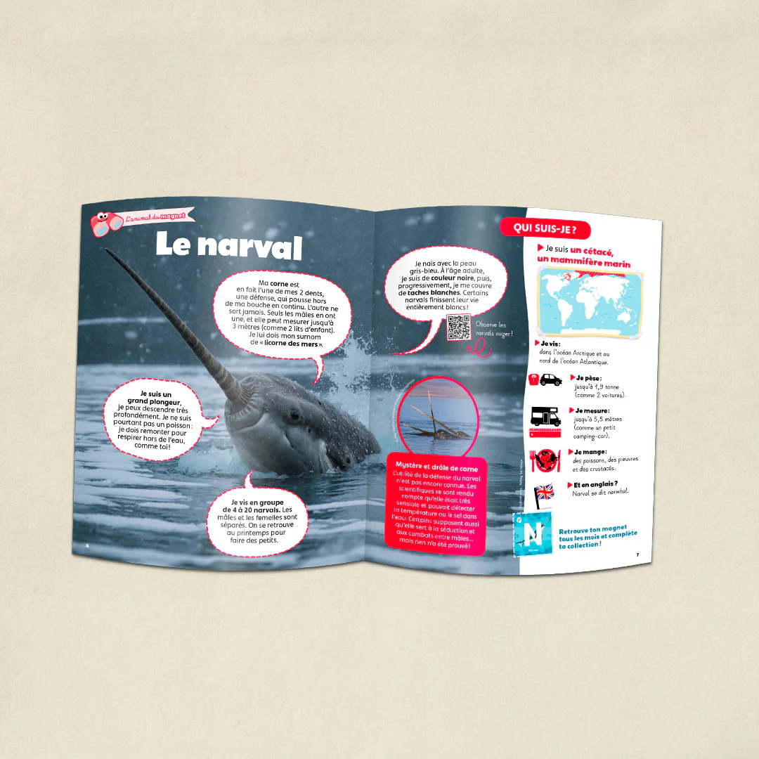 Image du produit 5