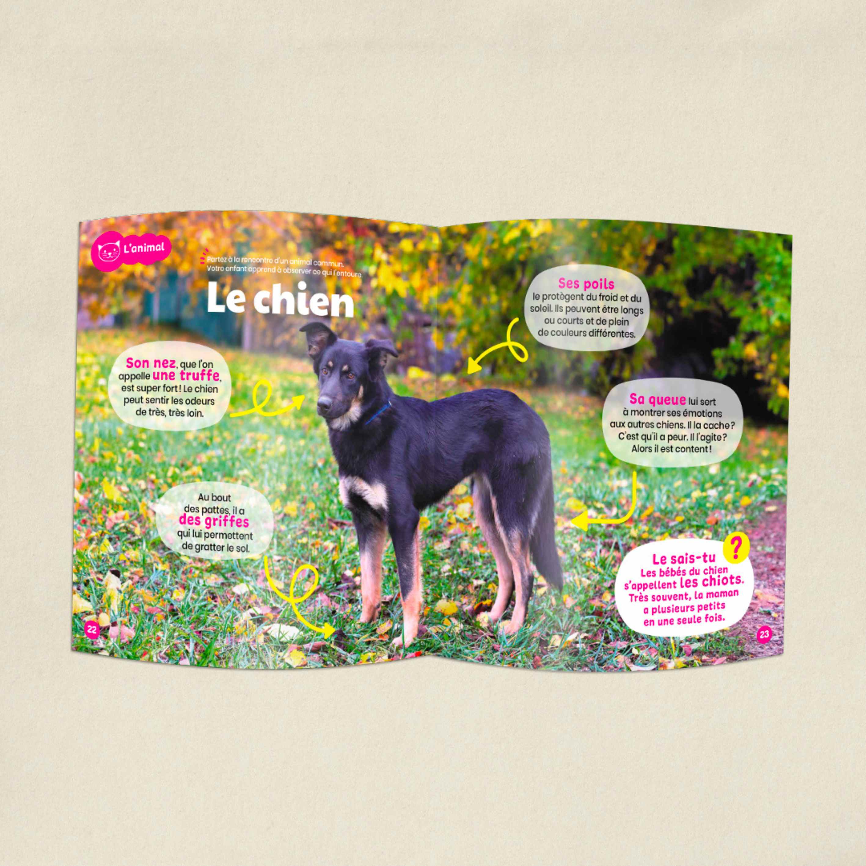 Image du produit 6
